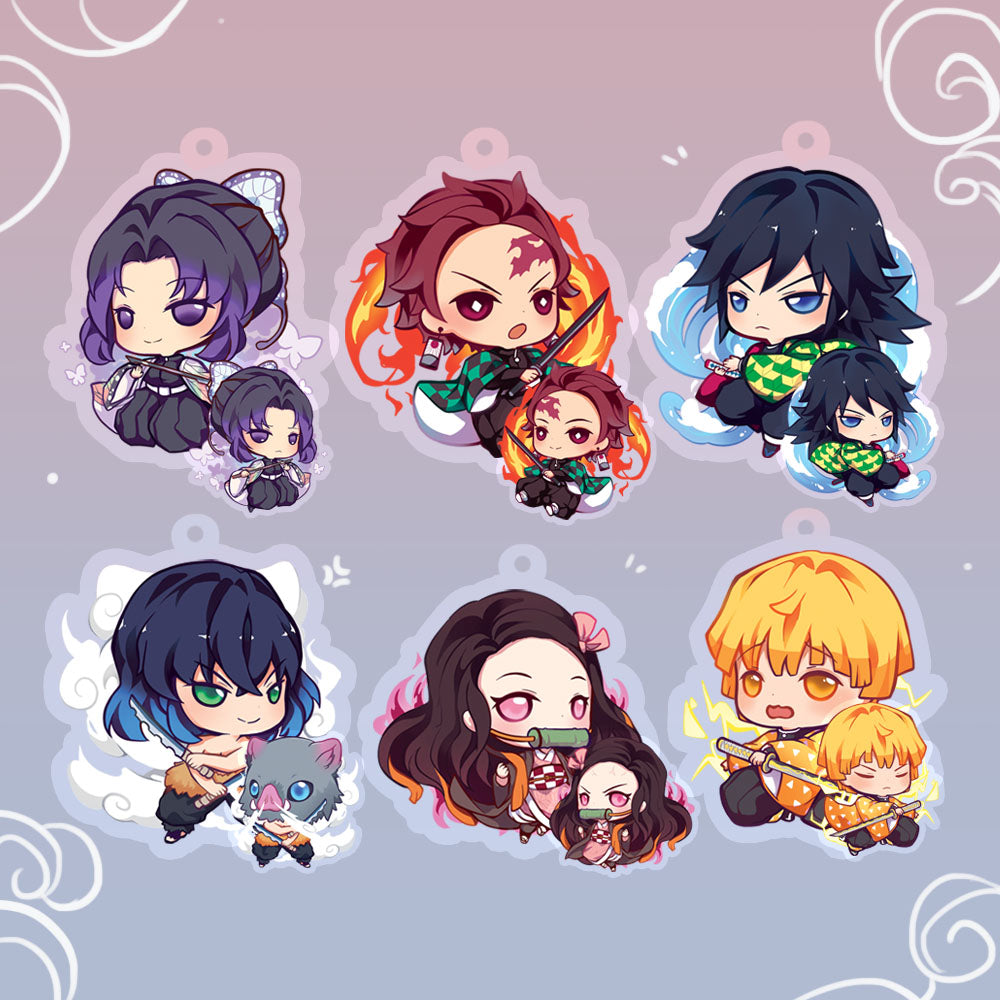 DS CHARMS